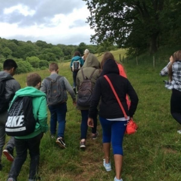 BullaceHill - 3
